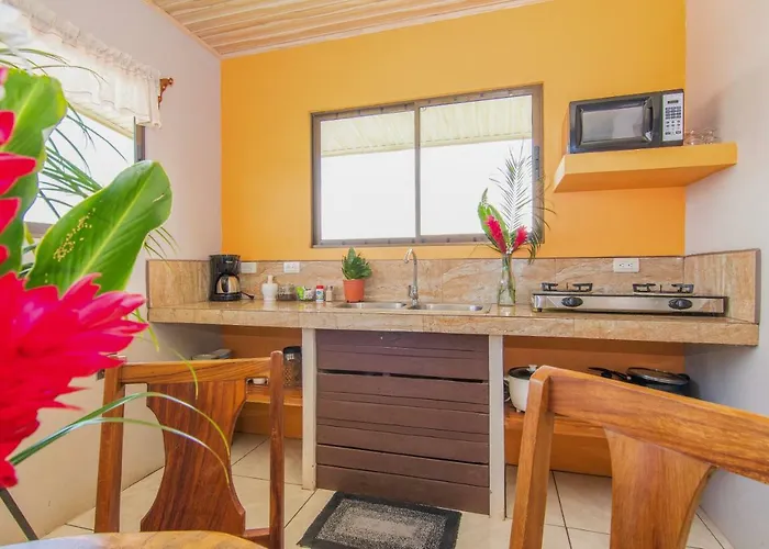 Casa Monarca - Monteverde